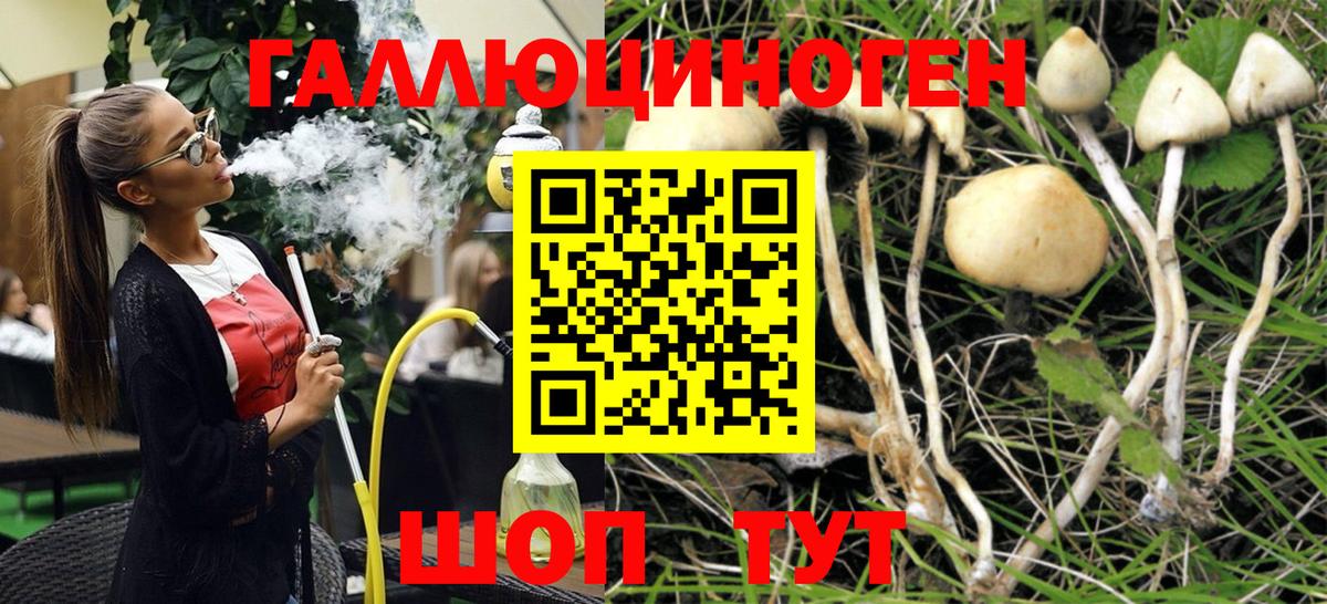 Пушкино  Галлюциногенные грибы Magic Shrooms  Вход с VPN 